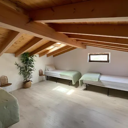 فيلة Forest House Oku *