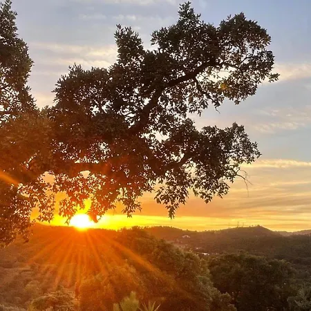 Forest House Oku Willa