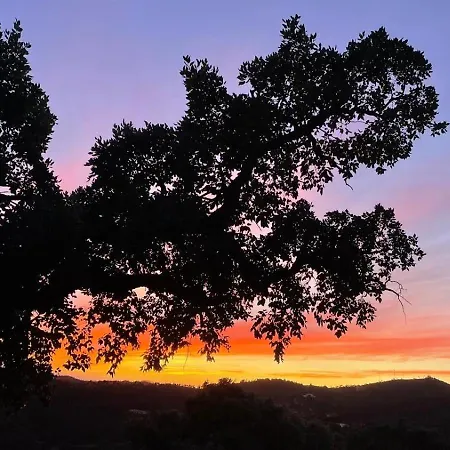 Forest House Oku Willa *