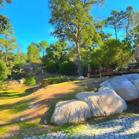 Forest House Oku Willa *