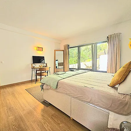 Willa Forest House Oku Nave