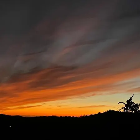 Forest House Oku Nave