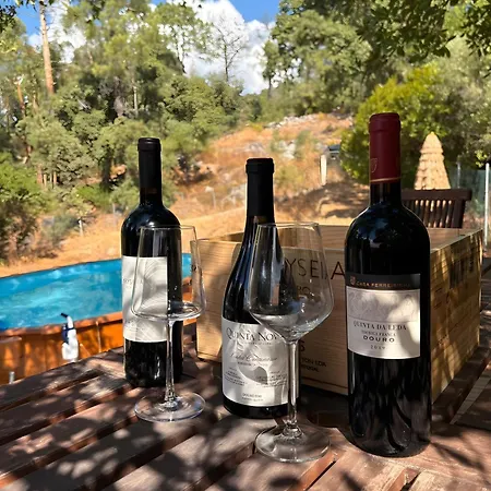 Forest House Oku Willa Nave