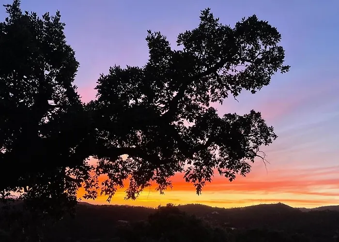 Forest House Oku ヴィラ *