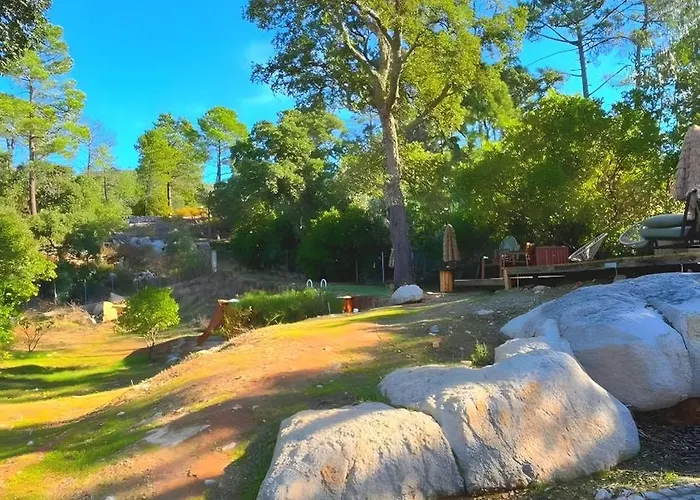 Forest House Oku ヴィラ *