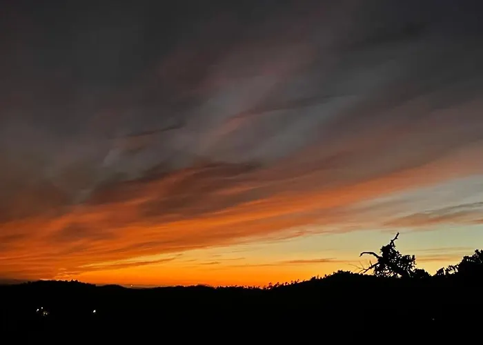 Forest House Oku Nave