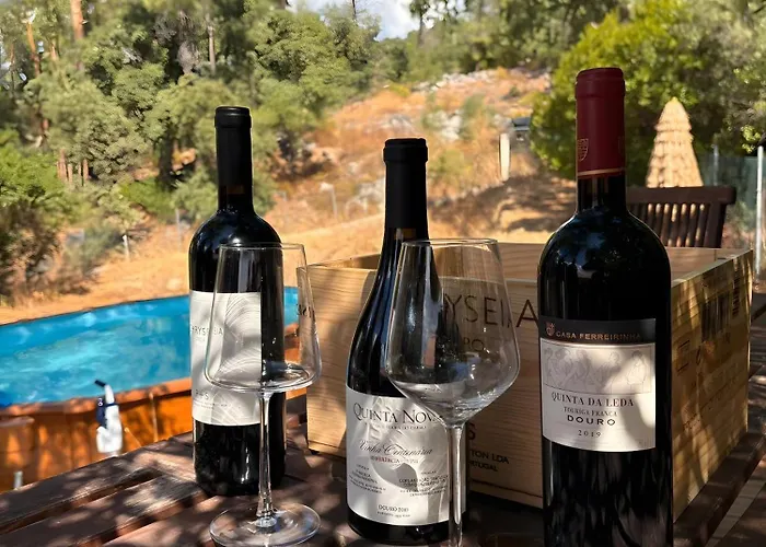 Forest House Oku ヴィラ Nave